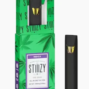 Stiiizy - Watermelon Z Disposable Vape 1g