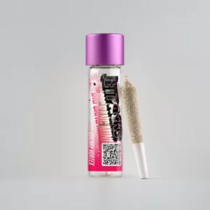 Cherry Vortex | Big Bang Mini | .5g Infused Preroll1/2 g