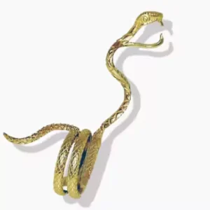 Snake In The Grass - Brass Joint Ring Holder