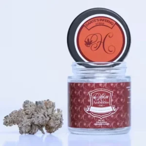 High Ambitions NYC cannabis