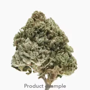 Ready 2 Roll Sativa 7g Pre-groun