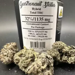 Heady Tree - Gastronaut Status - 3.5g